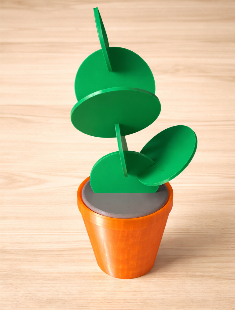 Cactus Plant Coaster Decor