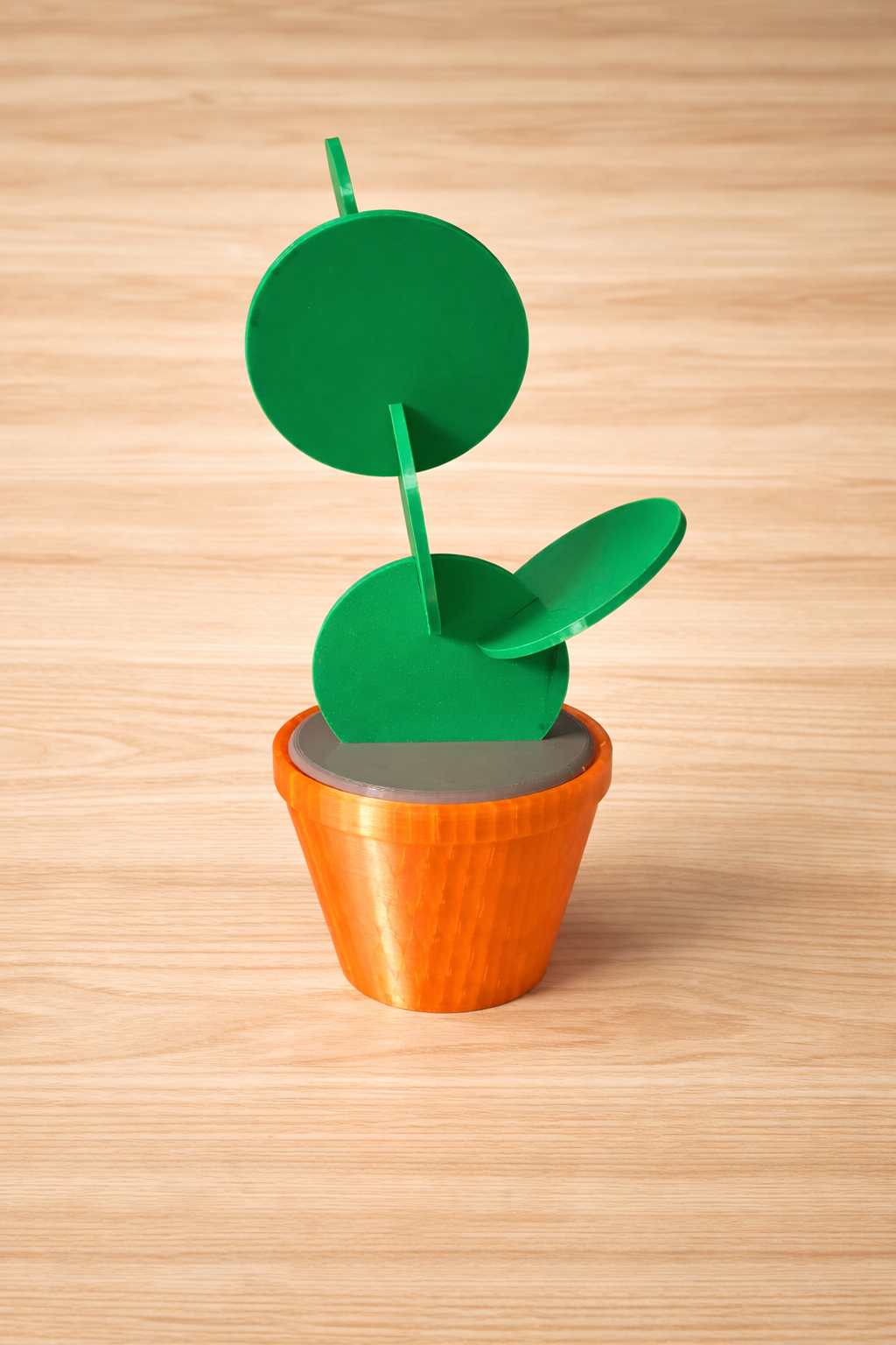 Cactus Plant Coaster Decor